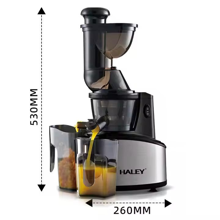 Storcător Electric Fructe și Legume HALEY 250W – Zgomot Redus, Eficiență Ridicată, 500ml, Design Modern cu Funcții Avansate